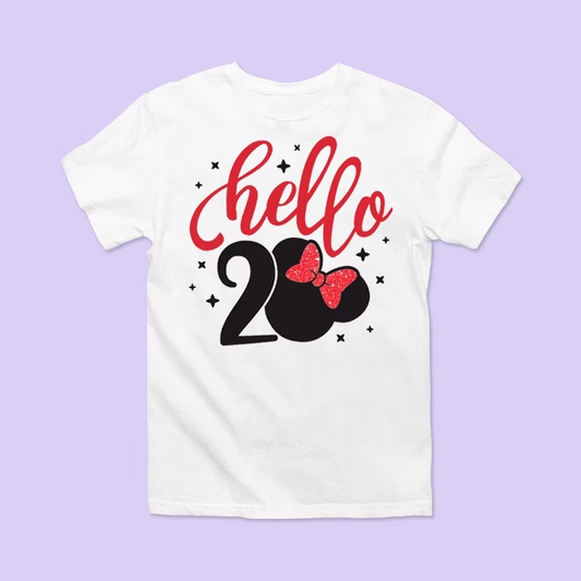 Disney Birthday Shirt - Hello 20 - Two Crafty Gays