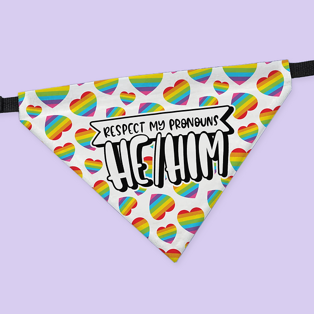 Pride Pet Collar Bandana - He/Him - Two Crafty Gays