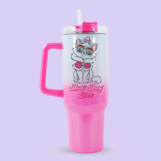 Disney Best Day Ever 40oz Quencher Tumbler - Marie - Two Crafty Gays