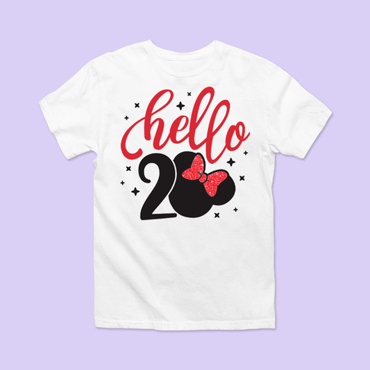 Disney "Hello 20" Birthday Shirt - Two Crafty Gays